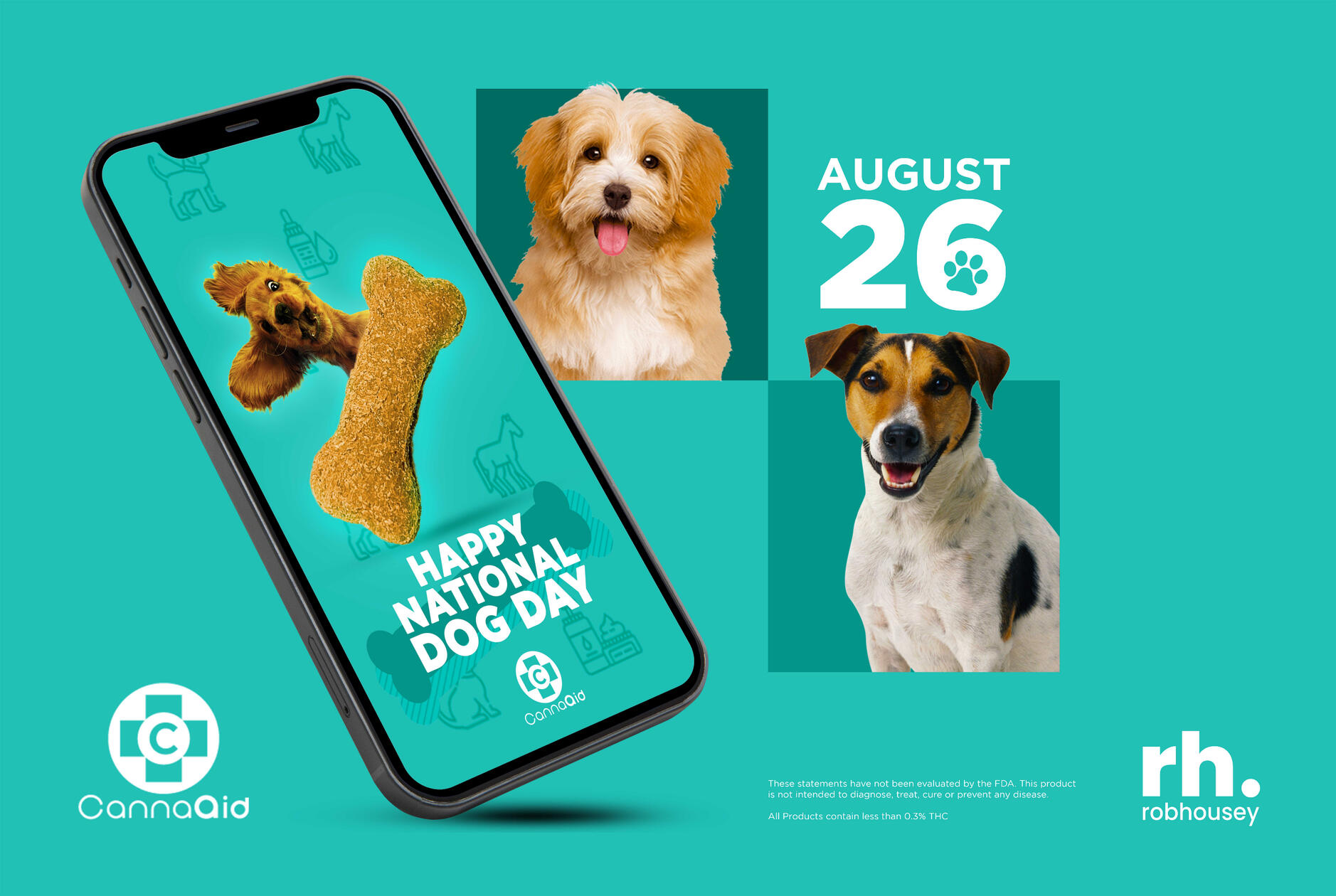 CannaAid 'Happy National Dog Day' Social Media Ad Mock